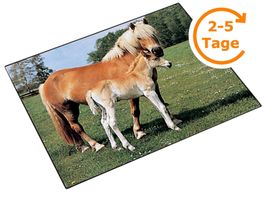 Schreibunterlage Pferd/Fohlen, 40x53 cm
