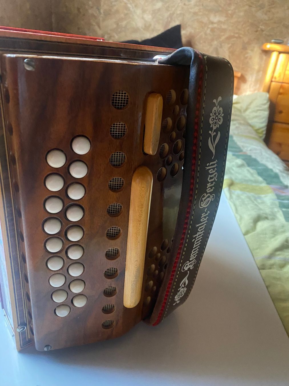 Instruments de musique: Schwyzerörgeli Reist – D'occasion à Naters par egarli 1