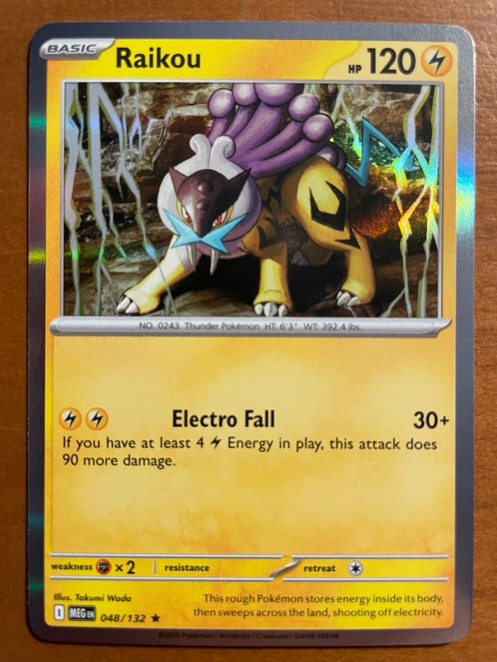 Pokémon Carte collezionabili: Pokemon Raikou Holo (Versand gratis) – Nuovo (secondo la descrizione) da Chur venduto da Angerson