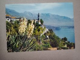 Ronco sopra Ascona Tessin Lago Maggiore