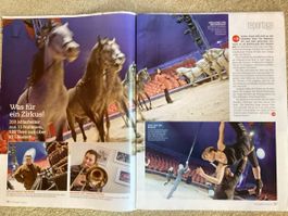 Circus Knie Zeitungsbericht 2009