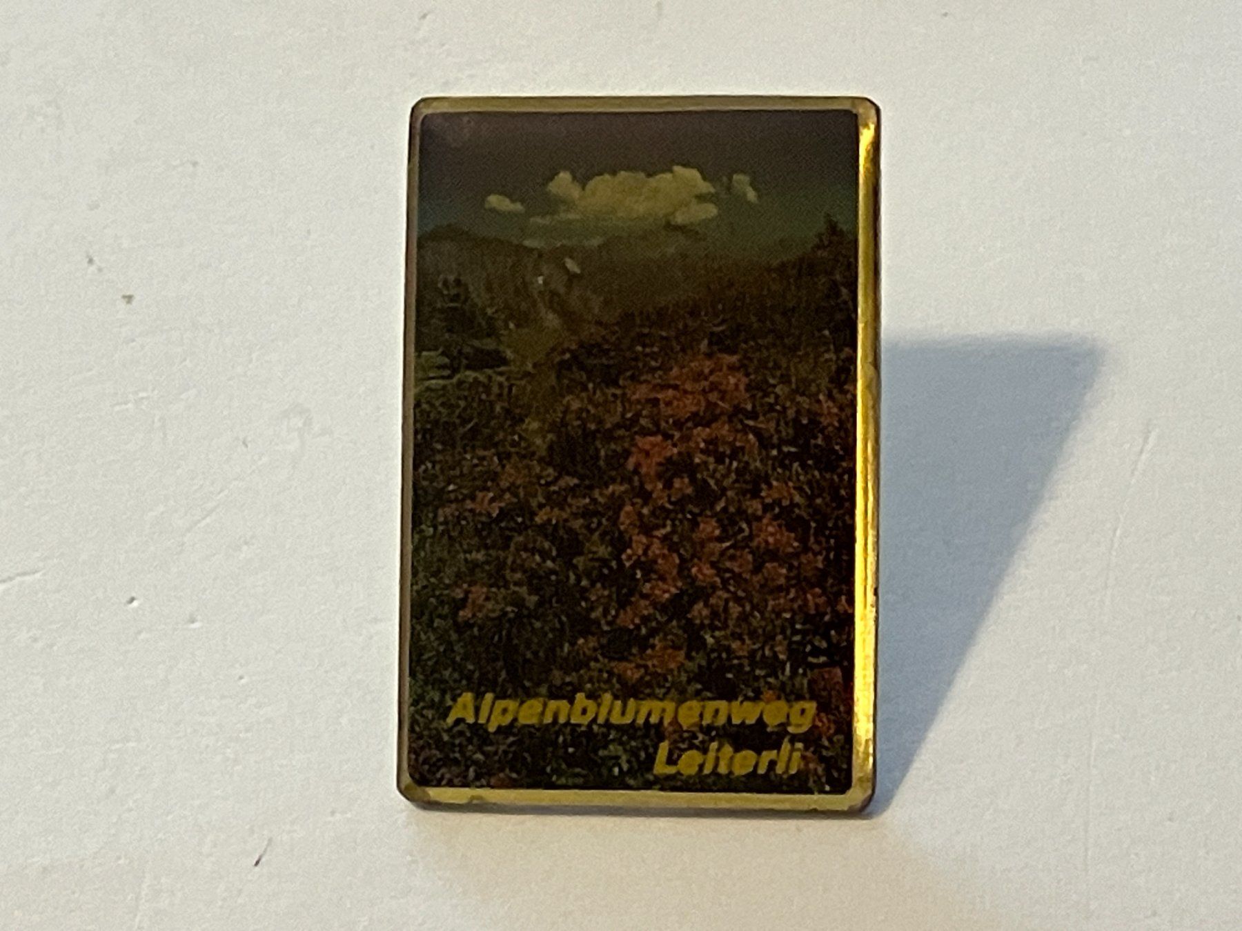 Placchette & Badge: 1 Pin Alpenblumenweg Leiterli – Usato da Basel venduto da djwwpp