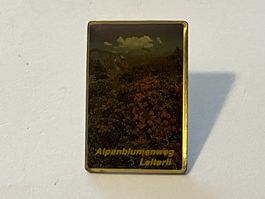 1 Pin Alpenblumenweg Leiterli
