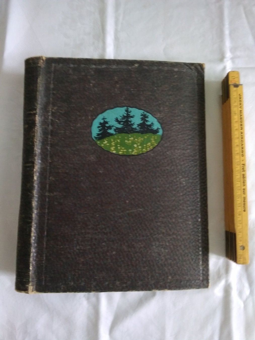 Album: Ansichtskarten Album leer LOT 3 – Usato da Appenzell venduto da lama19