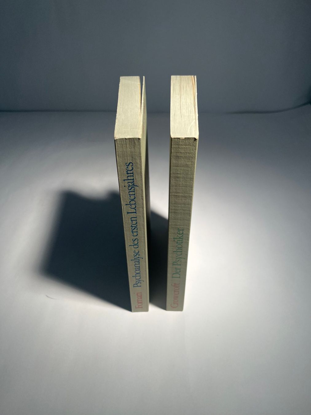 Libri: 2 Klassiker: Psychoanalyse & Psychose verstehen / S.Fischer – Usato da Neuhausen am Rheinfall venduto da Restwertvoll 2
