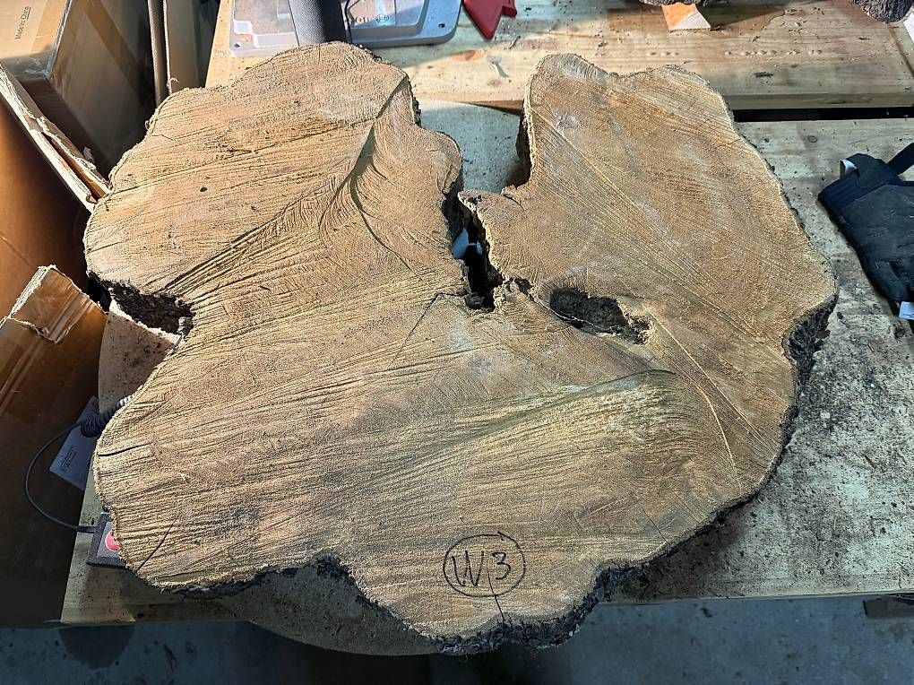 Articles en bois: Olivenholz Wurzelscheibe W3 – D'occasion à Buus par macipioji