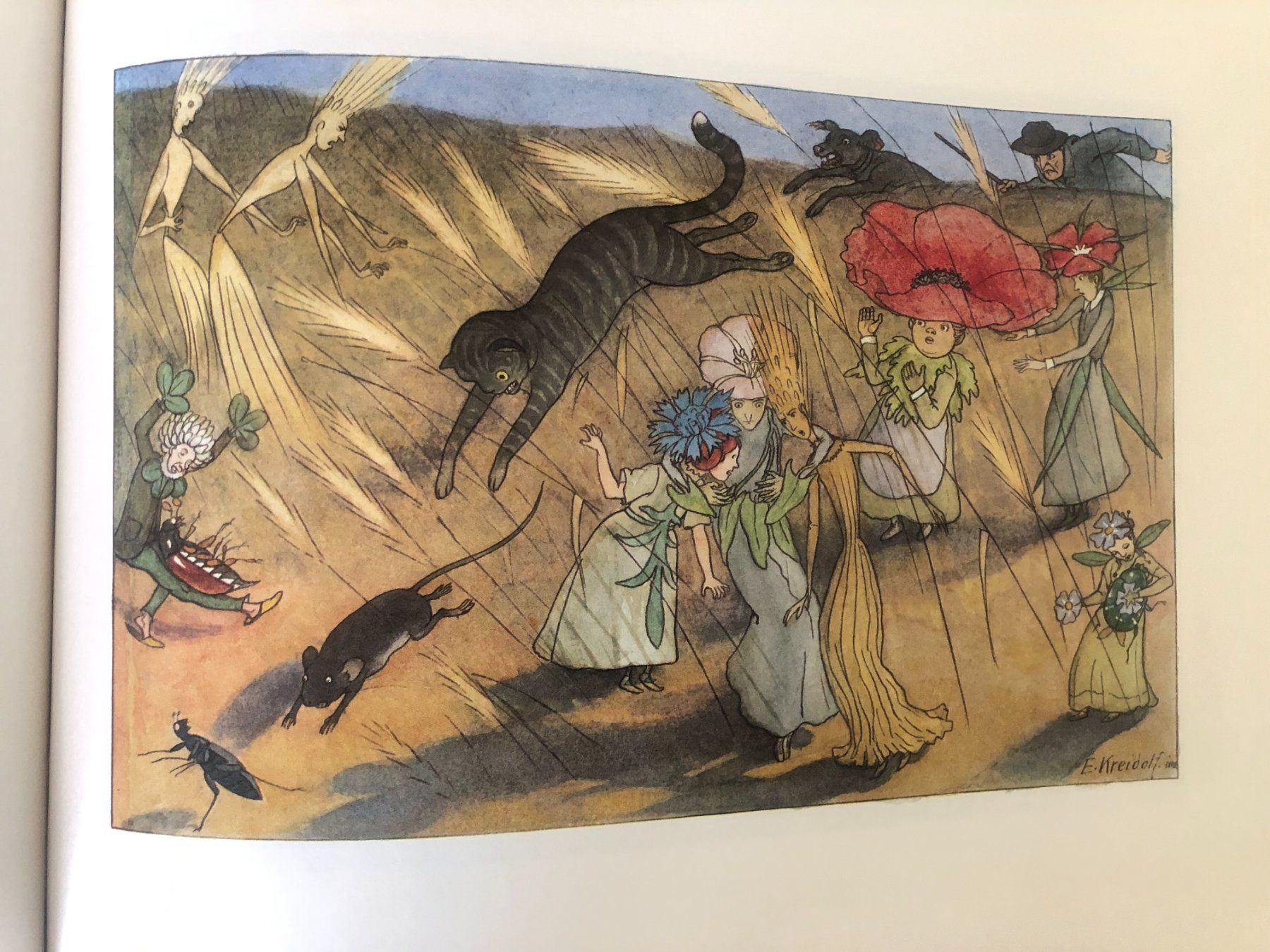 Libri: Blumen-Märchen von Ernst Kreidolf – Usato da Bassersdorf venduto da sammelfloh 8