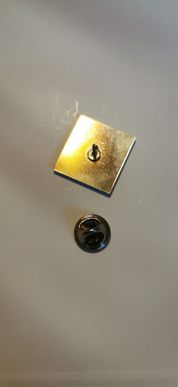 Placchette & Badge: Pin Leysin  – Usato da Genève venduto da vins50 1