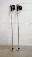 Nordic Walking Stöcke Leki Platinium Carbon 110 cm