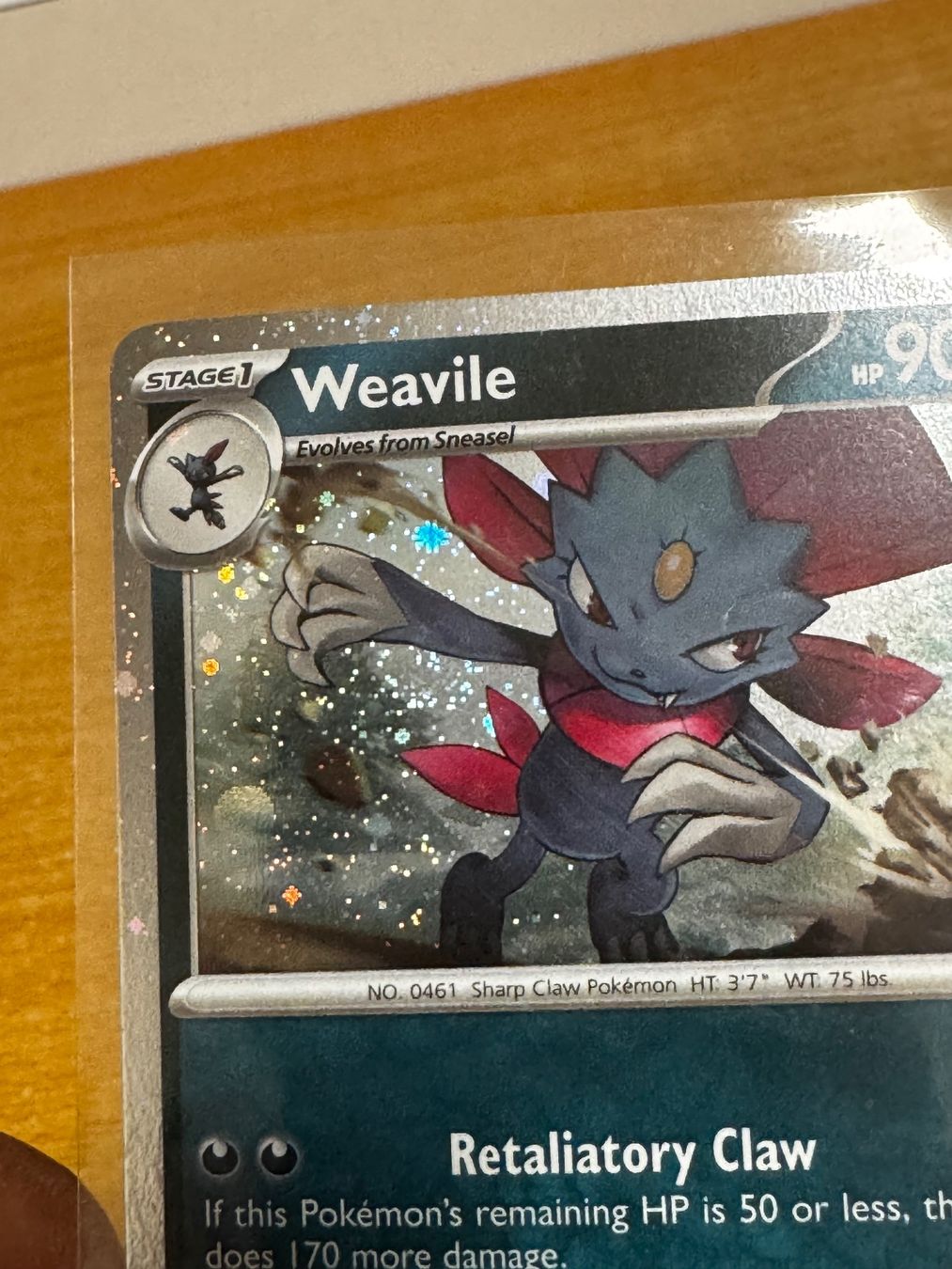 Pokémon Carte collezionabili: Carte Pokemon promo phantasmal flame – Usato da Muralto venduto da eli_r8pd 1