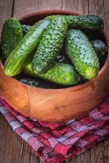 Piante & sementi: 30 Samen Gurke HOMEMADE PICKLES – Nuovo (secondo la descrizione) da Ehrendingen venduto da VerveinaSamen 2