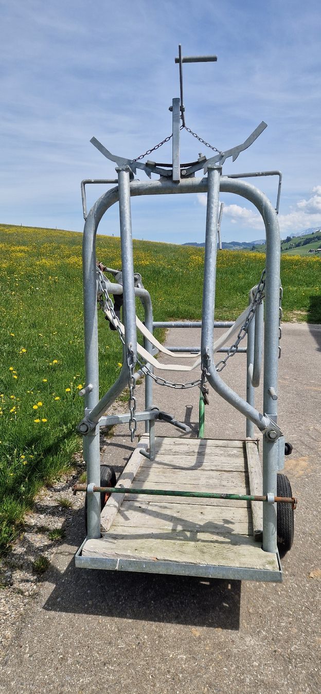 Tutte le macchine: Klauenpflegestand – Usato da Ricken SG venduto da Tonl 3