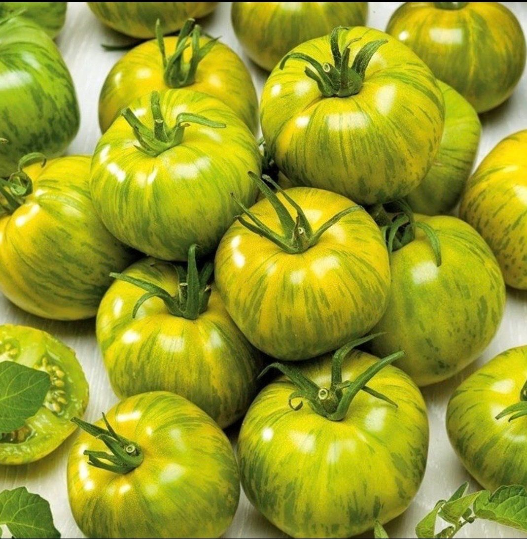 Piante & sementi: TOMATE Smarald  / 5 Samen – Nuovo (secondo la descrizione) da Kerzers venduto da kriszti0 1