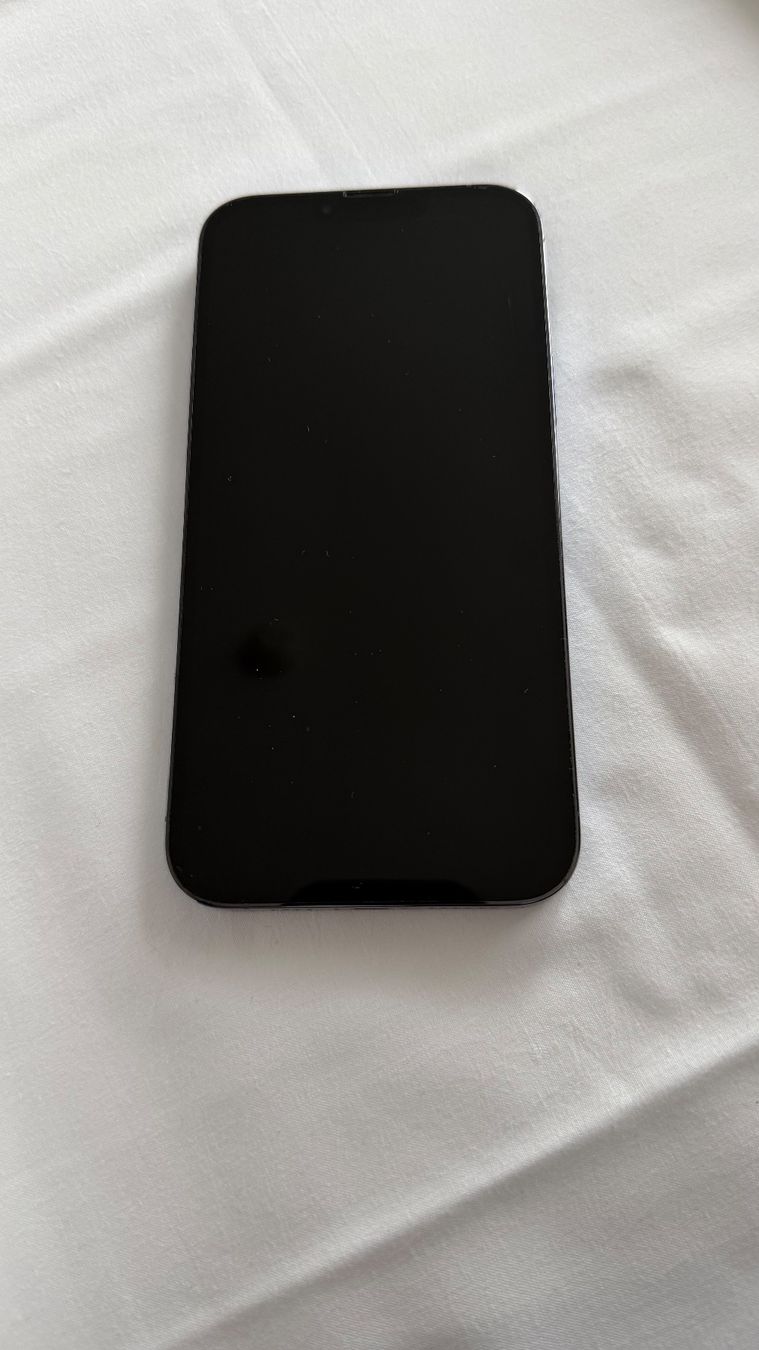 Apple Handys / Smartphones: Apple iPhone 13 Pro Max – Gebraucht aus Zürich von Mischlicht 1