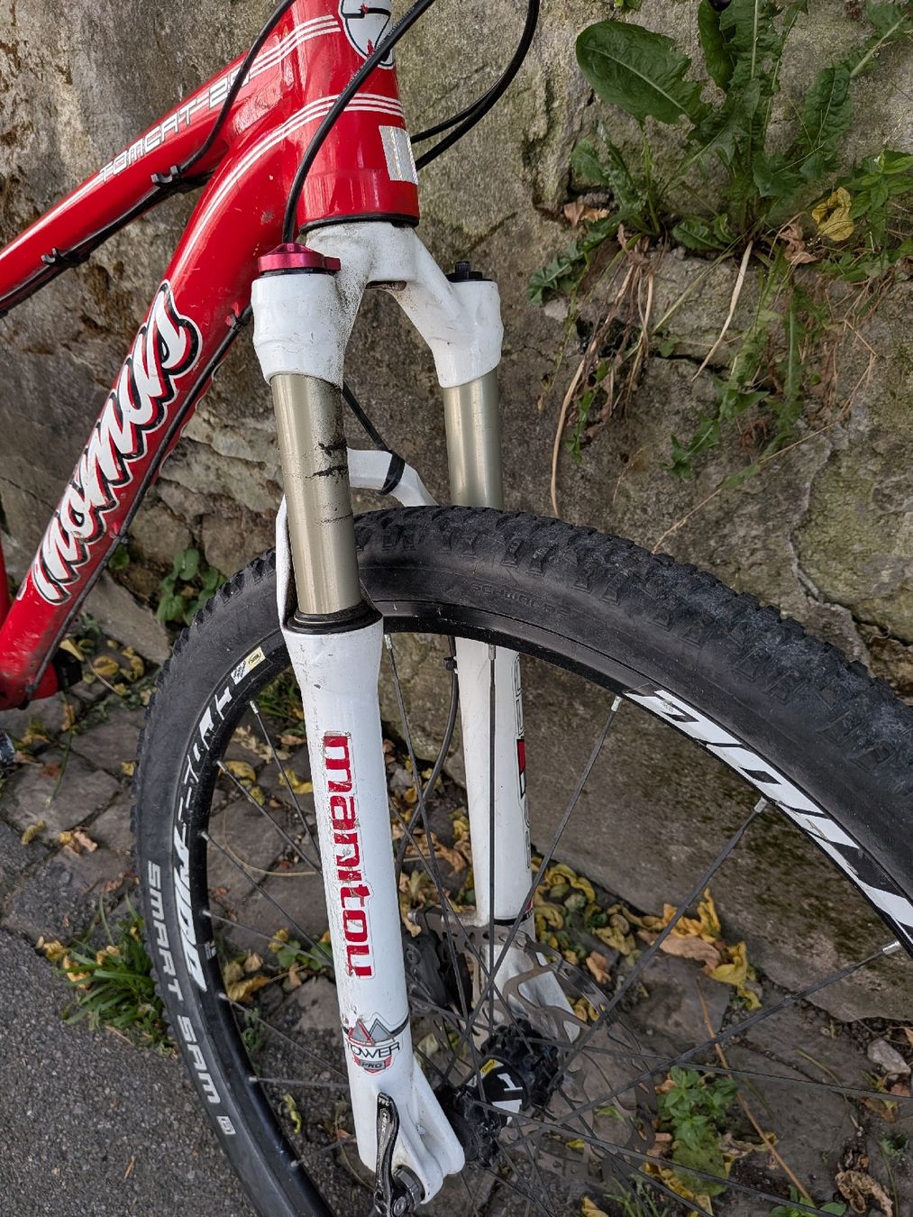 Thömus Biciclette: Thömus Bike – Usato da Bern venduto da Runner007 9