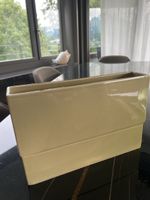 Vase schön für zB Tulpen 