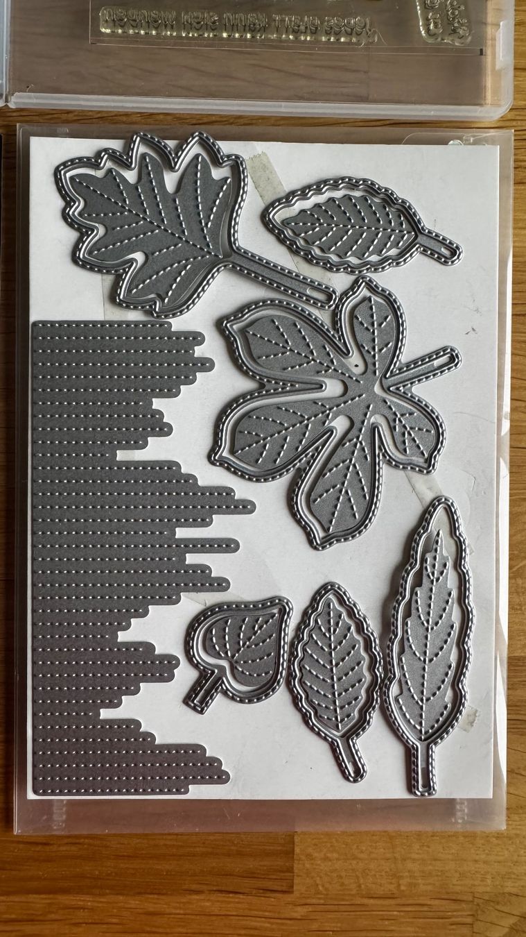 Stampin' up! Stempel: Stampin Up / Wunderbare Blätter / A – Gebraucht aus Neukirch (Egnach) von muolen 3