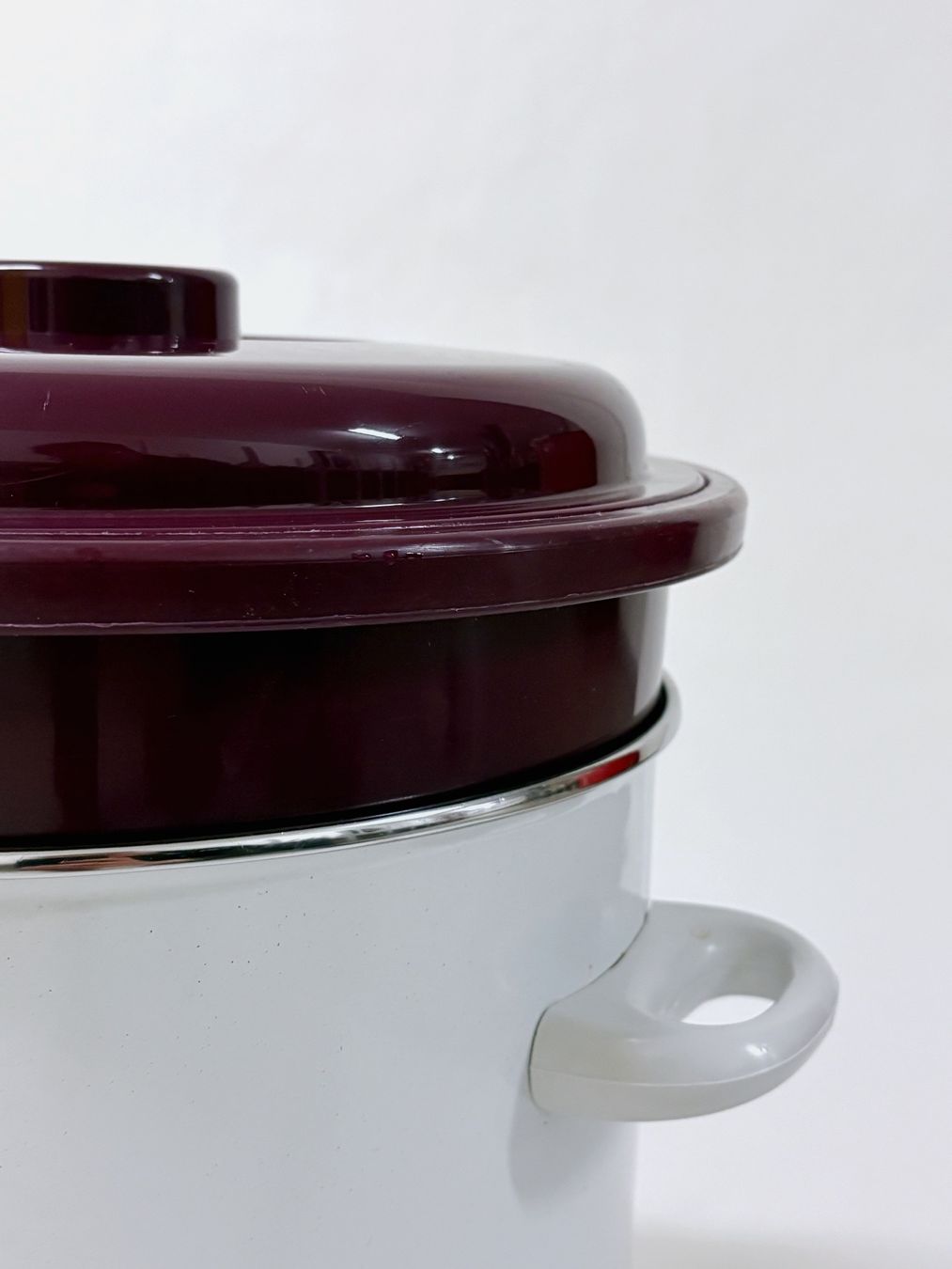 Elettrodomestici da cucina: Elektrischer Entsafter Bertschinger 1510 – Usato da Neuenkirch venduto da Gluecks.Kauf 1