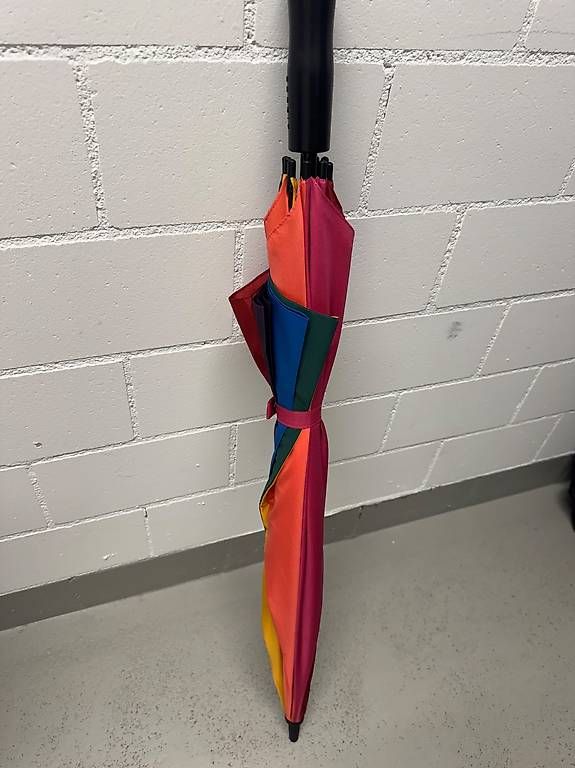 Ombrelli: Golf ESPRIT Regenschirm "Rainbow"  Farbig & Stylisch NEU – Usato da Zell ZH venduto da llo_kkt6