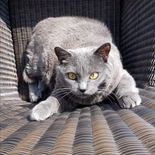Profile image of Irrlicht007