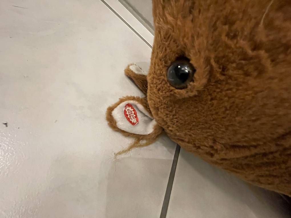 Giocattoli: Kinder-Reitpferd mit Geräuschen – Usato da Möriken AG venduto da nipamijule 4