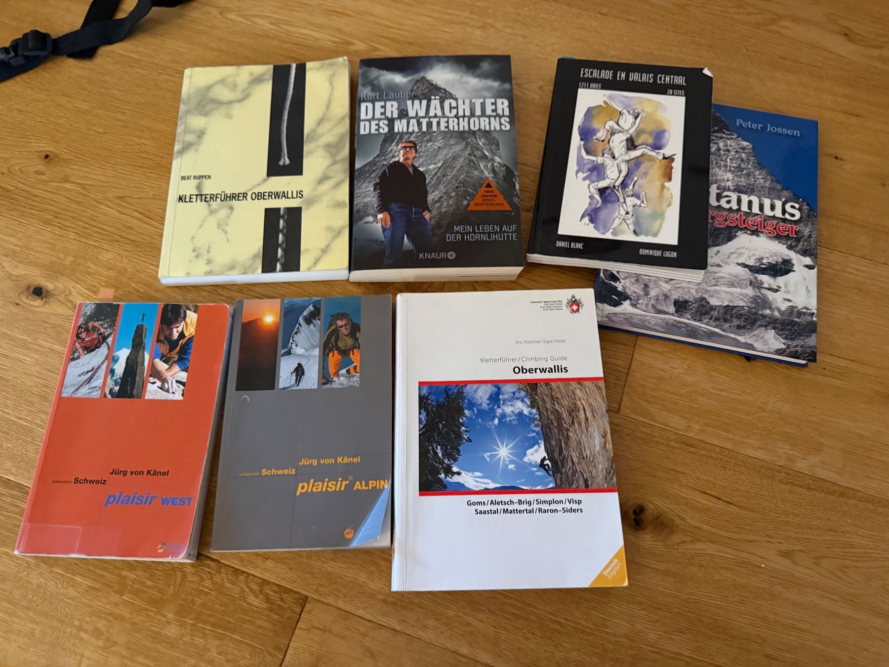 Libri: Kletterführer/ Pläsier – Usato da Witterswil venduto da MurielSalome