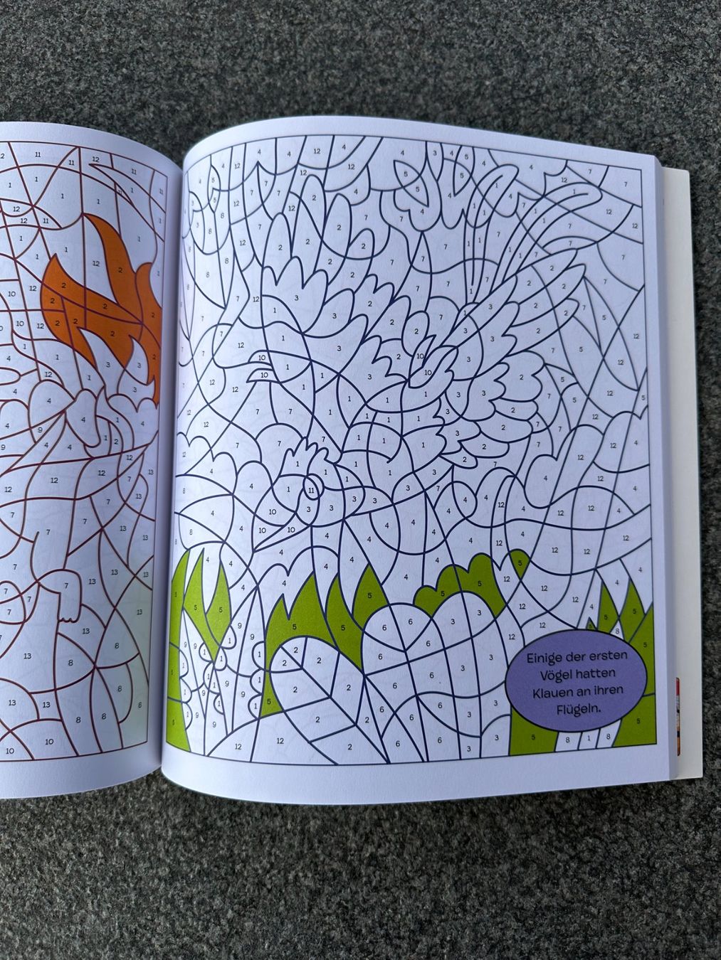 Libri: Malen nach Zahlen - Dinosaurier – Nuovo (secondo la descrizione) da Boppelsen venduto da KASIBO 1
