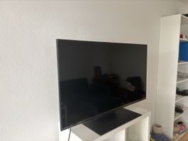 Fernseher LG Smart Tv 4k UHD 43"