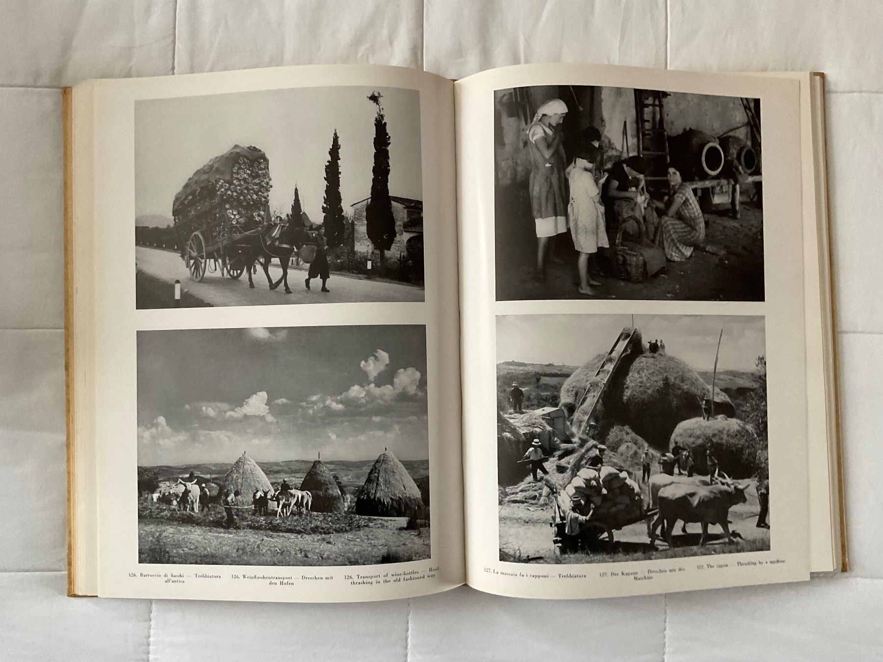 Libri: , Die Toscana – Usato da Zürich venduto da Tolima194 5