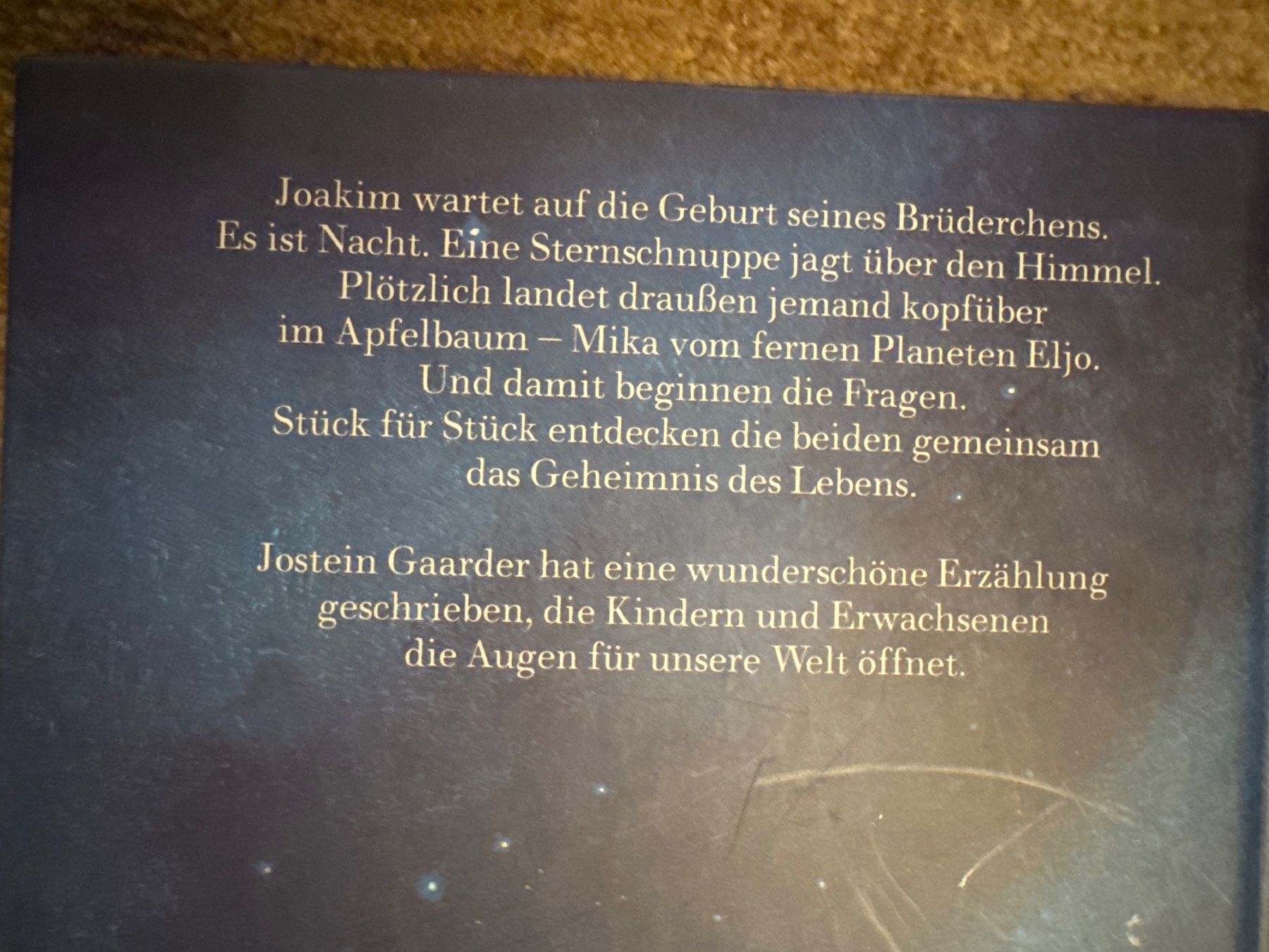 Bücher: Hallo, ist da jemand? Jostein Gaarder – Neu (gemäss Beschreibung) aus Aarau von Kilauea 3