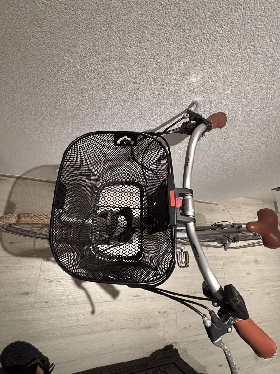 Biciclette: E-Bike Allegro Invisible – Difettoso da Biel-Benken BL venduto da Pepsi23 7