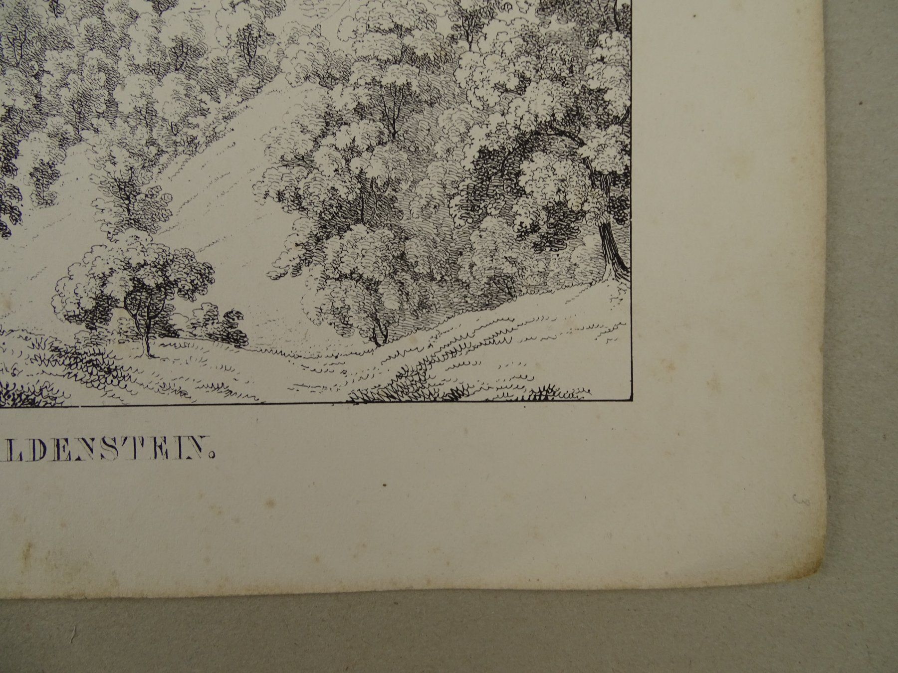 Incisioni: WILDENSTEIN, BASEL, FEDERLITHOGRAPHIE 1840 – Usato da Grüningen venduto da Kartensammler 5