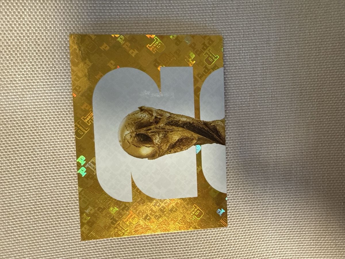 Panini Cartes à collectionner: Panini Fifa FWC 1 – D'occasion à Allschwil par Japollo