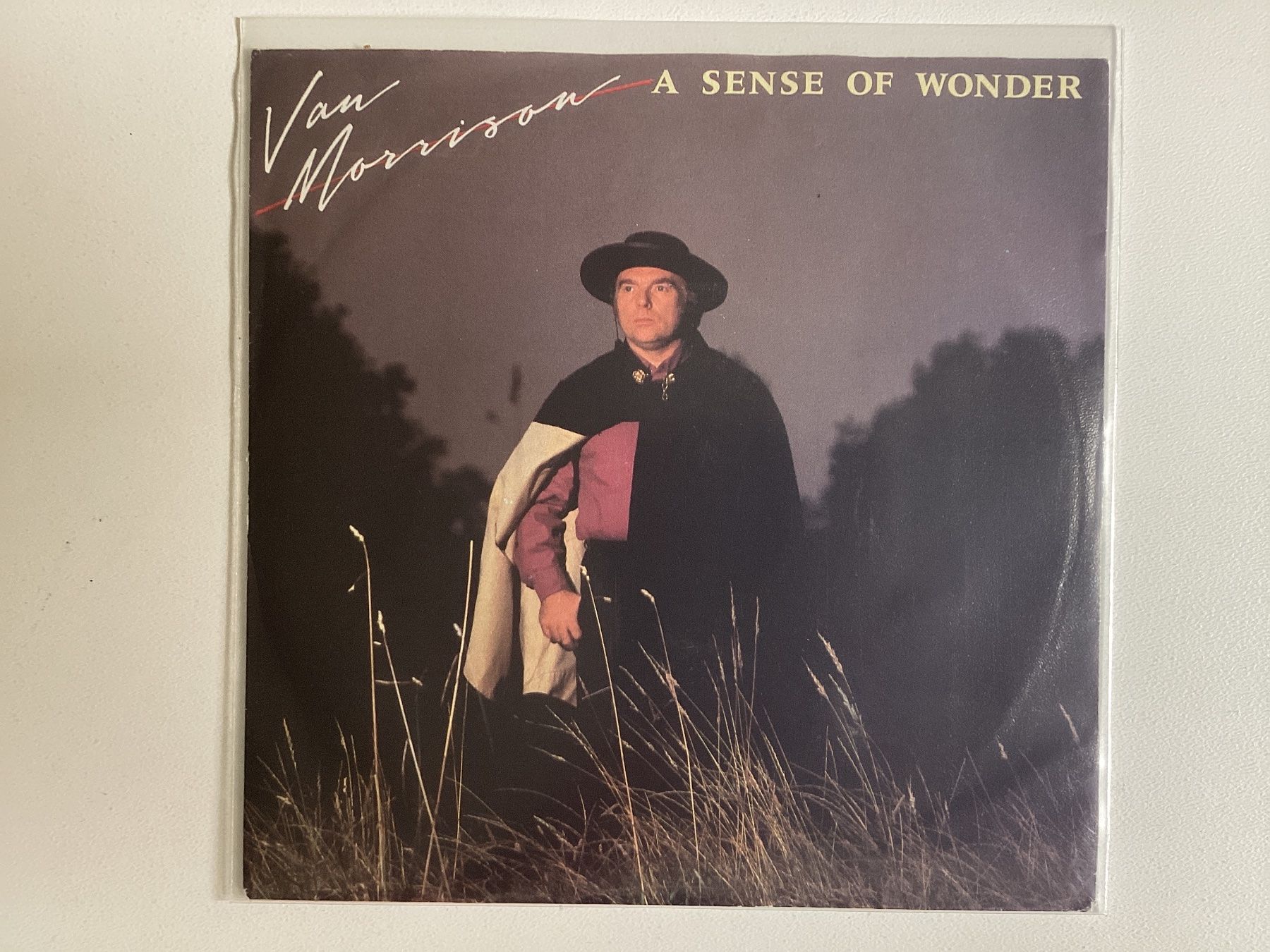 Dischi in vinile: Van Morrison Single - A Sense Of Wonder – Usato da Gutenswil venduto da Hamzian