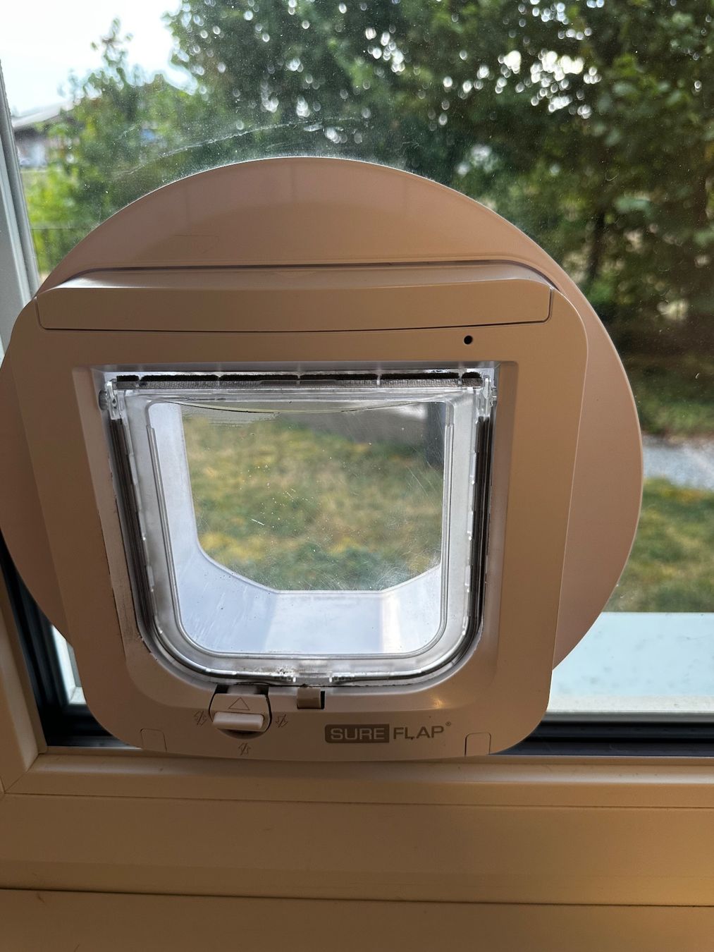 Chatières: Katzenklappe Sure Flap in Fensterglas – D'occasion à Bütschwil par jojo99 1