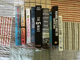 Young Adult YA book bundle