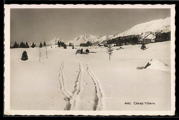 Cartoline postali: Crans s. Sierre, Paysage d'hiver avec tr – Usato da Berlin venduto da bartko-reher