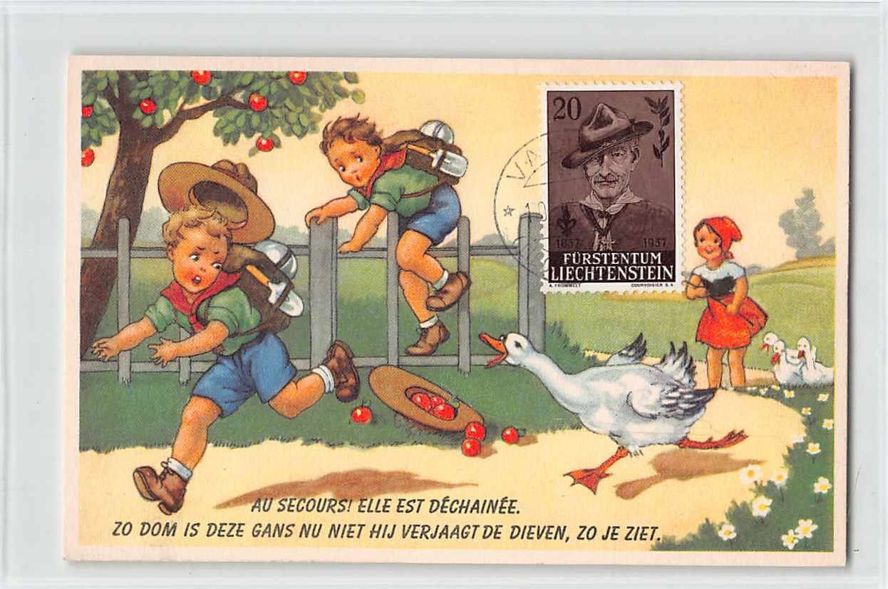 Tutti i francobolli: Super PFADFINDER Maxikarten von 1958 - RRR – Usato da Lufingen venduto da Rac0 2