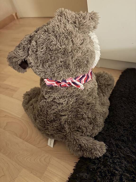 Giocattoli: Süsser Plüsch Hund – Usato da Boswil venduto da sel_f9r5 3