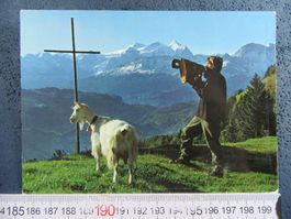 SENN BETRUF ZIEGE WETTERHORNGRUPPE AK ONW