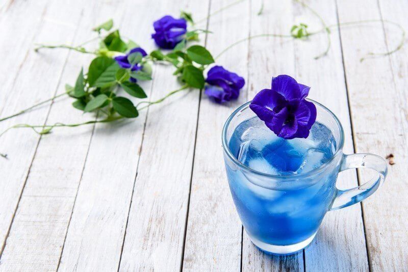 Piante & sementi: Clitoria ternatea ! Thé Bleu ! 3g – Nuovo (secondo la descrizione) da Bremblens venduto da FIBONACCI369 1