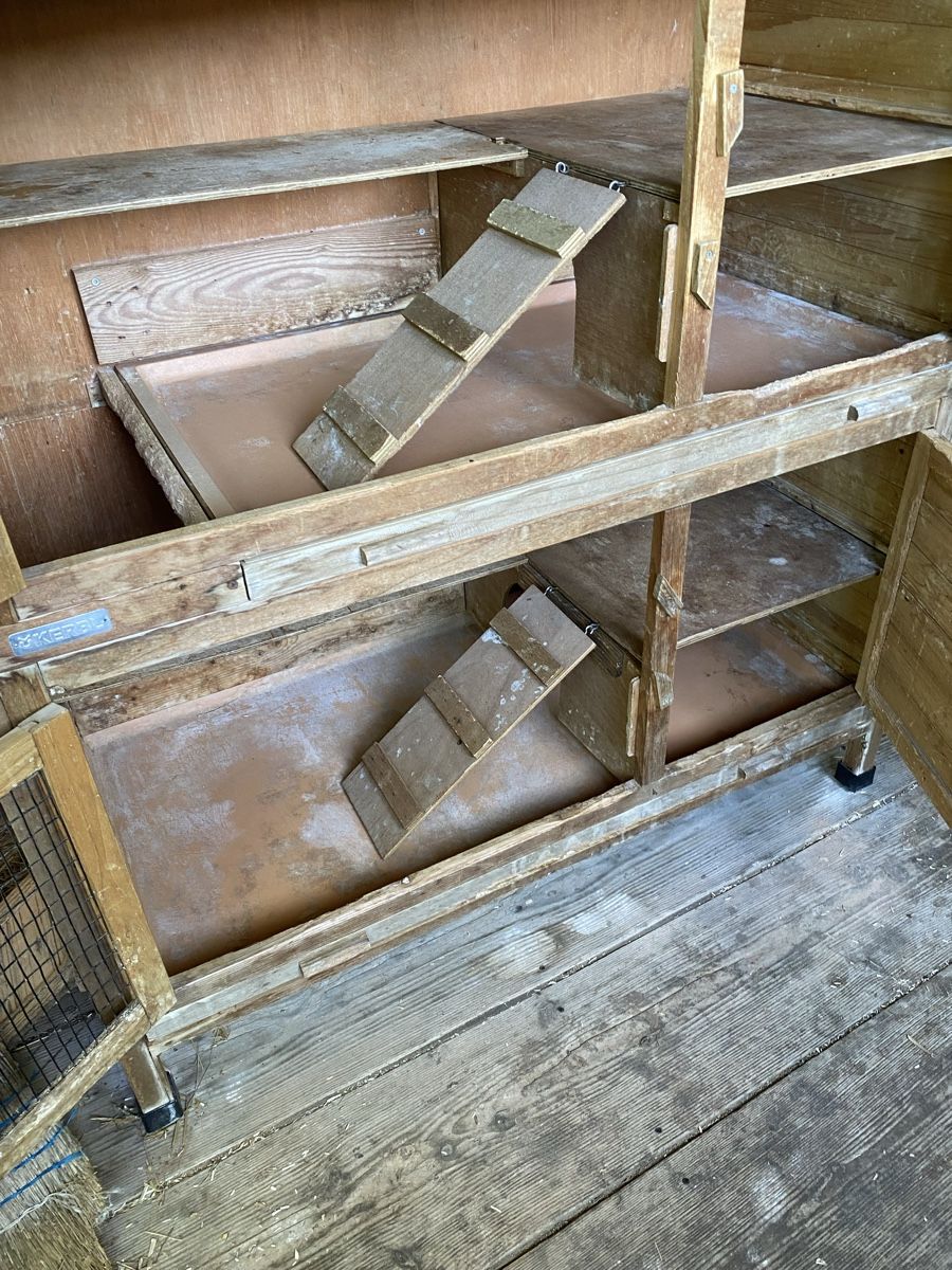 Käfige, Transport & Sicherheit: Kaninchenstall /Meerschweinchenstall – Gebraucht aus Buus von van03 2