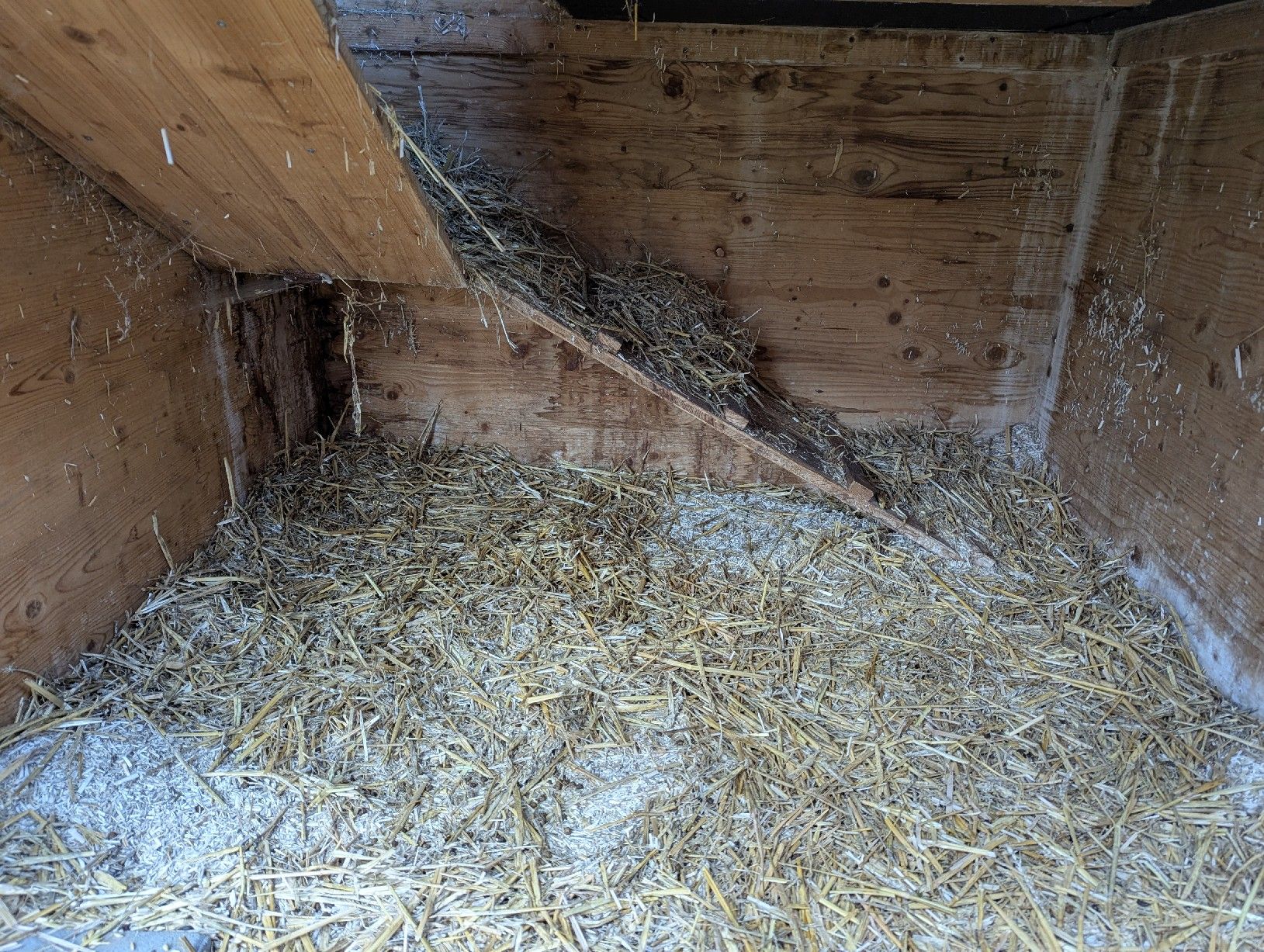 Käfige, Transport & Sicherheit: Grosser Stall für den Garten – Gebraucht aus Blumenstein von Giri_1234 4