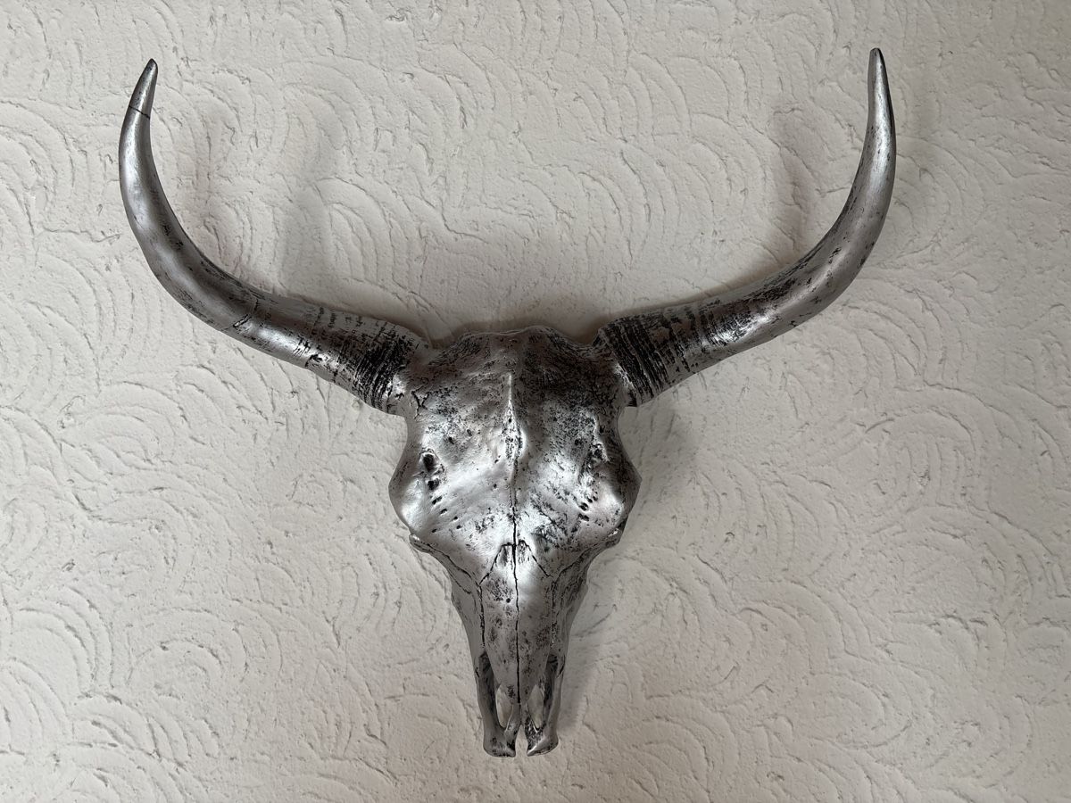 Tutte le decorazioni: Bullhead silberfarben – Usato da Rudolfstetten venduto da Mtiny