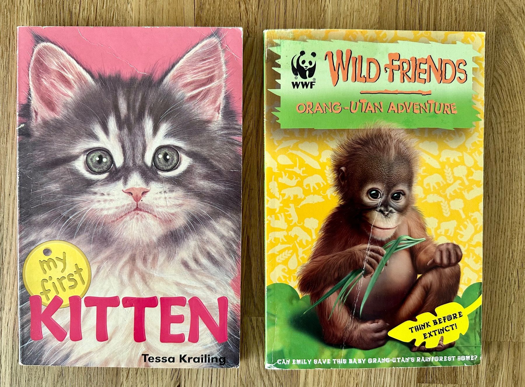 Libri: 2 English books – Usato da Amriswil venduto da Mat08