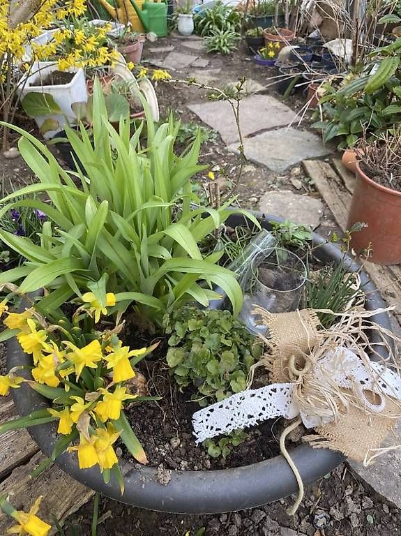 Ciotole: 7 Blumen in der Schale – Usato da Frauenfeld venduto da Irene.Schuppli
