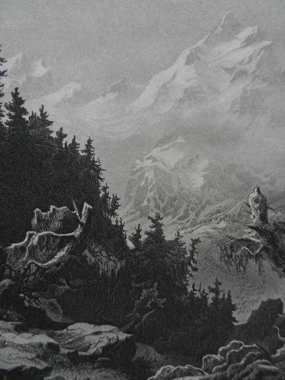 Gravures: Piz Bernina – D'occasion à Risch par Rischli15 4