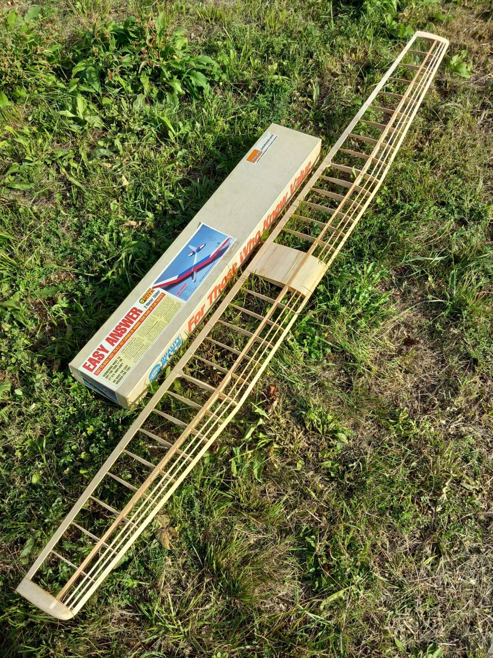 Multiplex Modellismo RC: RC Modell Multiplex – Usato da Givisiez venduto da Reiffel 1