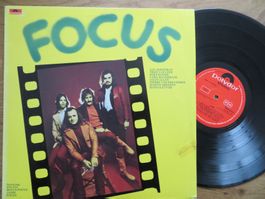 FOCUS SHAME