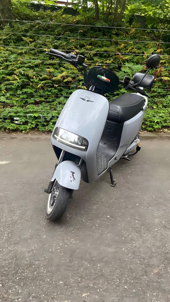 Scooters: E- Roller Zilla Loki – D'occasion à Zürich par fulma